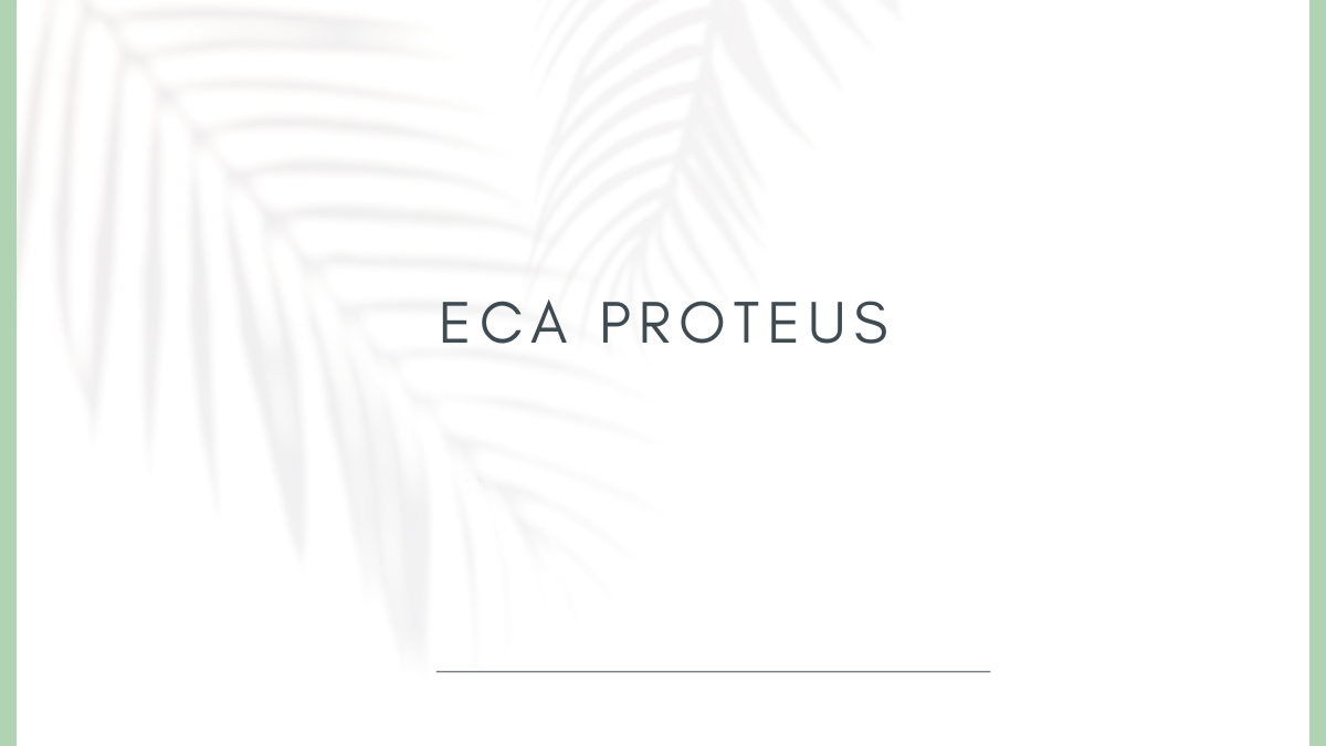 Eca Proteus
