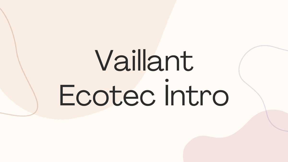 Vaillant Ecotec İntro